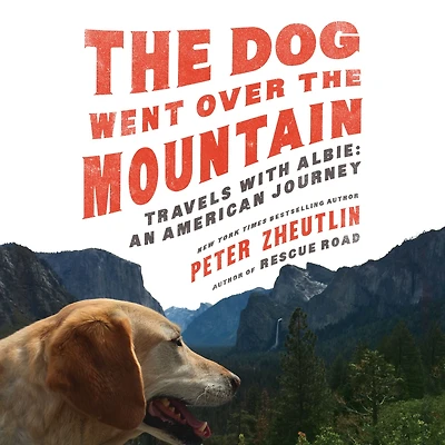 the Dog Went Over Mountain: Travels With Albie: An American Journey