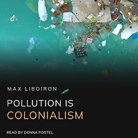 Pollution is Colonialism