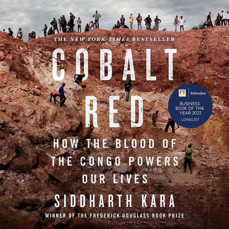 Cobalt Red: How the Blood of Congo Powers Our Lives