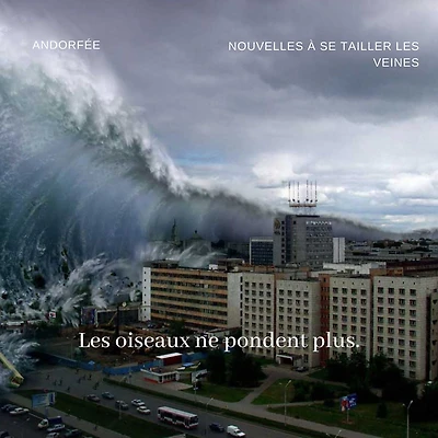 Les oiseaux ne pondent plus