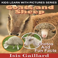 Goats and Sheep: Photos and Fun Facts for Kids