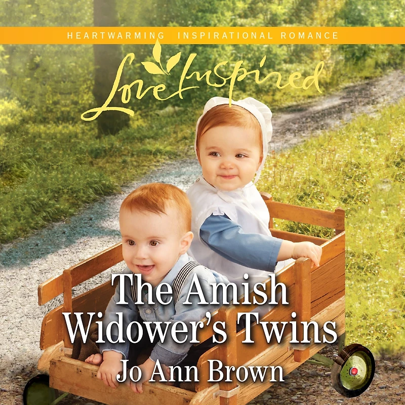 Amish Widower's Twins