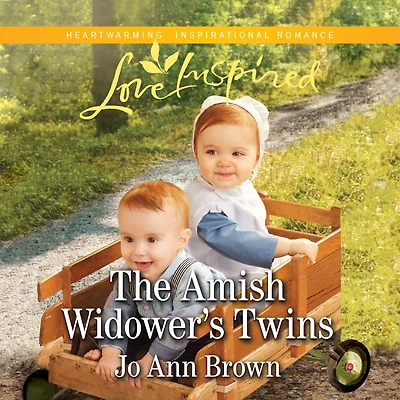 Amish Widower's Twins