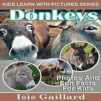Donkeys: Photos and Fun Facts for Kids