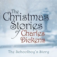 The Schoolboy's Story