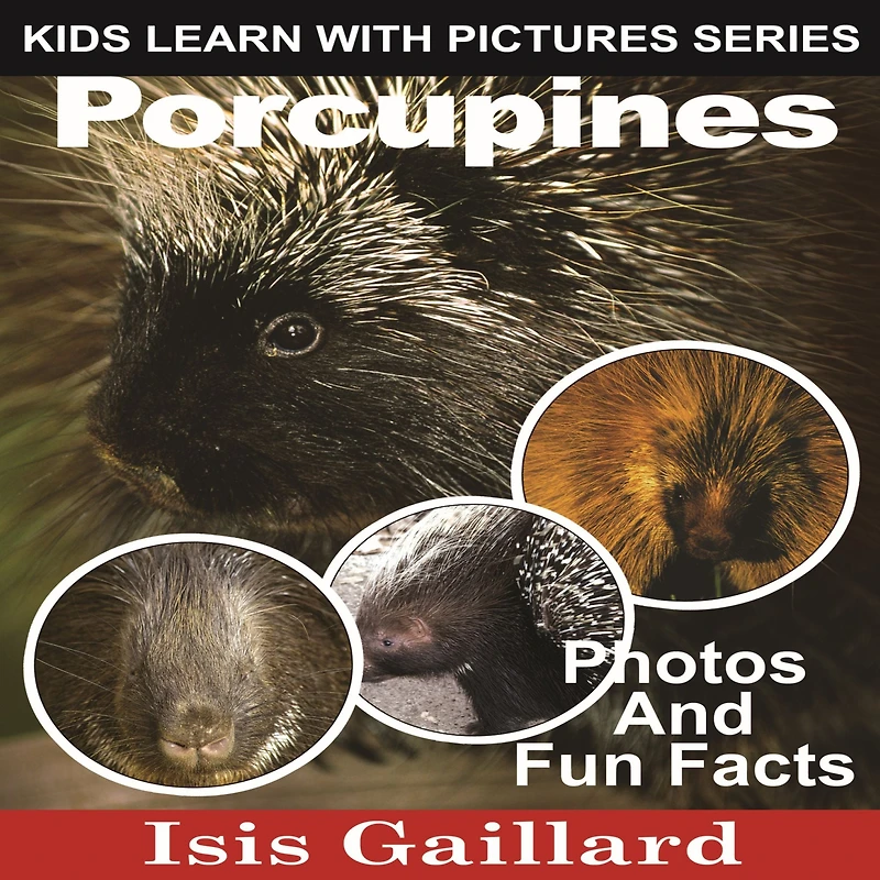 Porcupines: Photos and Fun Facts for Kids