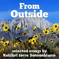 From Outside: selected essays