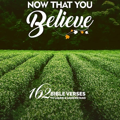 Now That You Believe: 162 Bible Verses To Learn & Understand