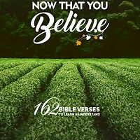 Now That You Believe: 162 Bible Verses To Learn & Understand