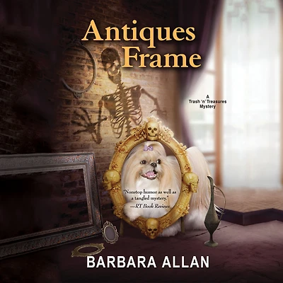 Antiques Frame (Trash 'n' Treasures Series #11)