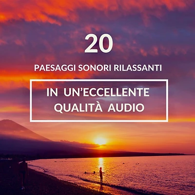 ambiente rilassante per il sonno, meditazione, sonno profondo: 20 paesaggi sonori rilassanti in un'eccellente qualità audio: onde dell'oceano, canto delle cicale, pioggia d'autunno, foresta tropicale, uccelli canori, pioggia, paesaggi sonori sferici con o