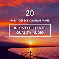 ambiente rilassante per il sonno, meditazione, sonno profondo: 20 paesaggi sonori rilassanti in un'eccellente qualità audio: onde dell'oceano, canto delle cicale, pioggia d'autunno, foresta tropicale, uccelli canori, pioggia, paesaggi sonori sferici con o