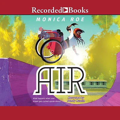 Air: A Novel
