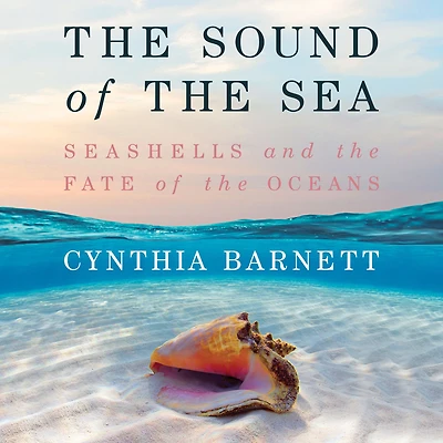 the Sound of Sea: Seashells and Fate Oceans
