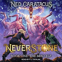 The Mad Elf: A LitRPG Adventure