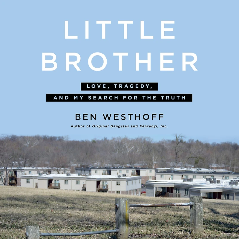 Little Brother: Love, Tragedy, and My Search for the Truth