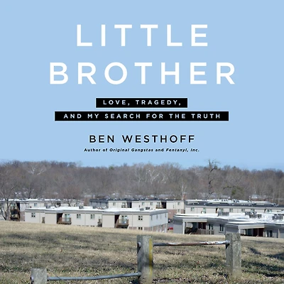 Little Brother: Love, Tragedy, and My Search for the Truth