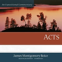 Acts: An Expositional Commentary