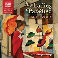 The Ladies' Paradise: Au Bonheur des Dames