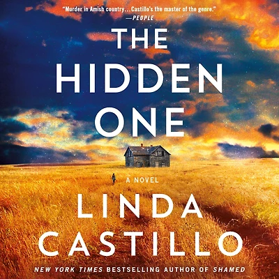 The Hidden One (Kate Burkholder Series #14)