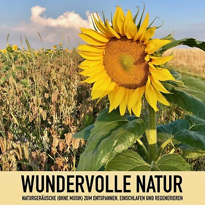 Wundervolle Natur: Naturgeräusche (ohne Musik) zum Entspannen, Regenerieren und Einschlafen: Sanfter Regen, Singvögel, Brandung, Lagerfeuer, Gewitter, heiße Quellen, Grillenzirpen, Herbstwind