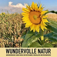 Wundervolle Natur: Naturgeräusche (ohne Musik) zum Entspannen, Regenerieren und Einschlafen: Sanfter Regen, Singvögel, Brandung, Lagerfeuer, Gewitter, heiße Quellen, Grillenzirpen, Herbstwind