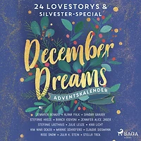 December Dreams. Ein Adventskalender - 24 Lovestorys plus Silvester-Special