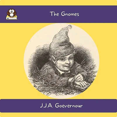 The Gnomes