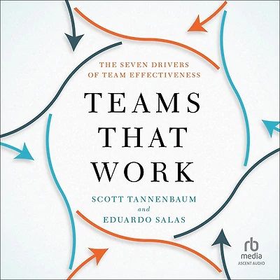 Teams That Work: The Seven Drivers of Team Effectiveness