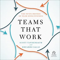 Teams That Work: The Seven Drivers of Team Effectiveness