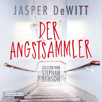 Der Angstsammler: Roman