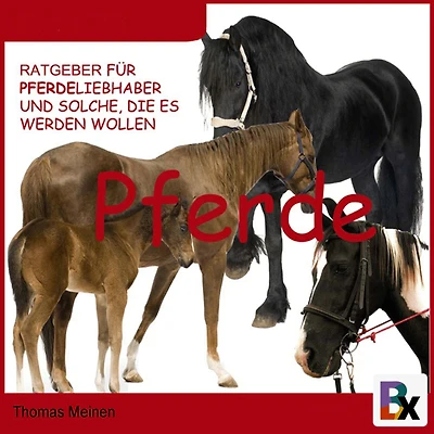 Ratgeber für Pferde-Liebhaber und solche, die es werden wollen: Wissenswertes über Haltung und Versorgung
