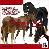 Ratgeber für Pferde-Liebhaber und solche, die es werden wollen: Wissenswertes über Haltung und Versorgung