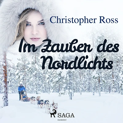 Im Zauber des Nordlichts