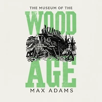 the Museum of Wood Age