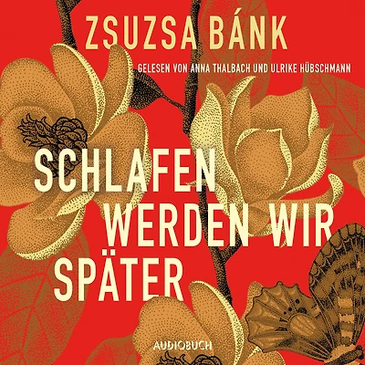 Schlafen werden wir später: Roman