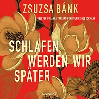 Schlafen werden wir später: Roman