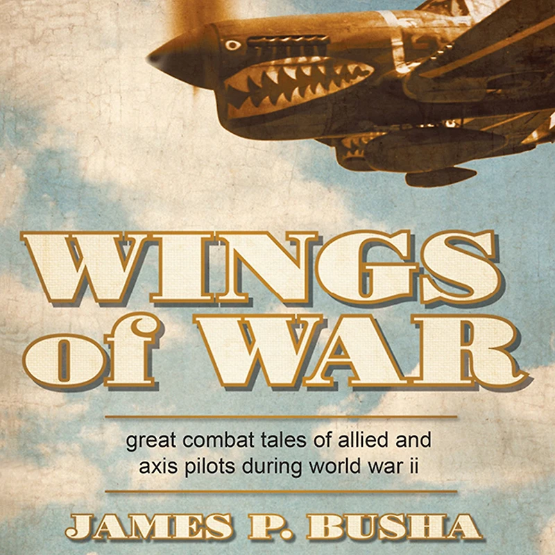 Wings of War: Great Combat Tales Allied and Axis Pilots During World War II