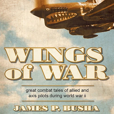 Wings of War: Great Combat Tales Allied and Axis Pilots During World War II