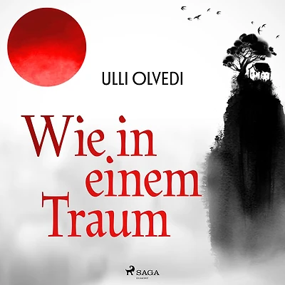 Wie einem Traum: Roman