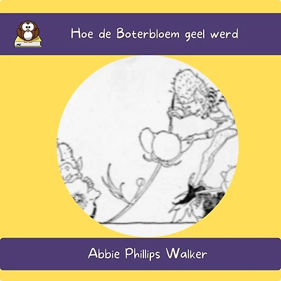 Hoe de Boterbloem geel werd