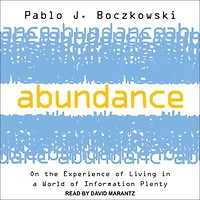 Abundance: On the Experience of Living a World Information Plenty