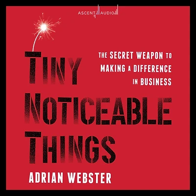 Tiny Noticeable Things: The Secret Weapon to Making a Difference Business