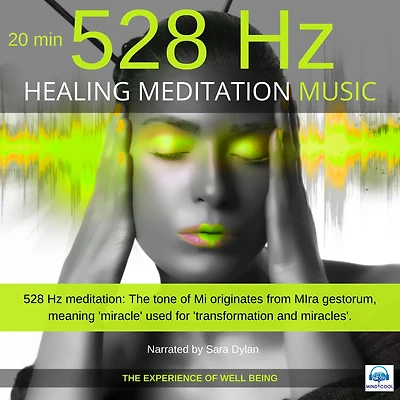 Healing Meditation Music 528 Hz 20 minutes: The experience of well-being
