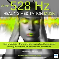 Healing Meditation Music 528 Hz 20 minutes: The experience of well-being