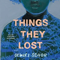Things They Lost: A Novel