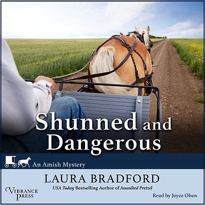 Shunned and Dangerous (Amish Mystery Series #3)
