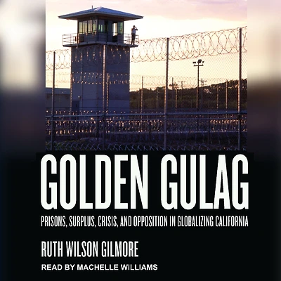 Golden Gulag: Prisons, Surplus, Crisis, and Opposition Globalizing California