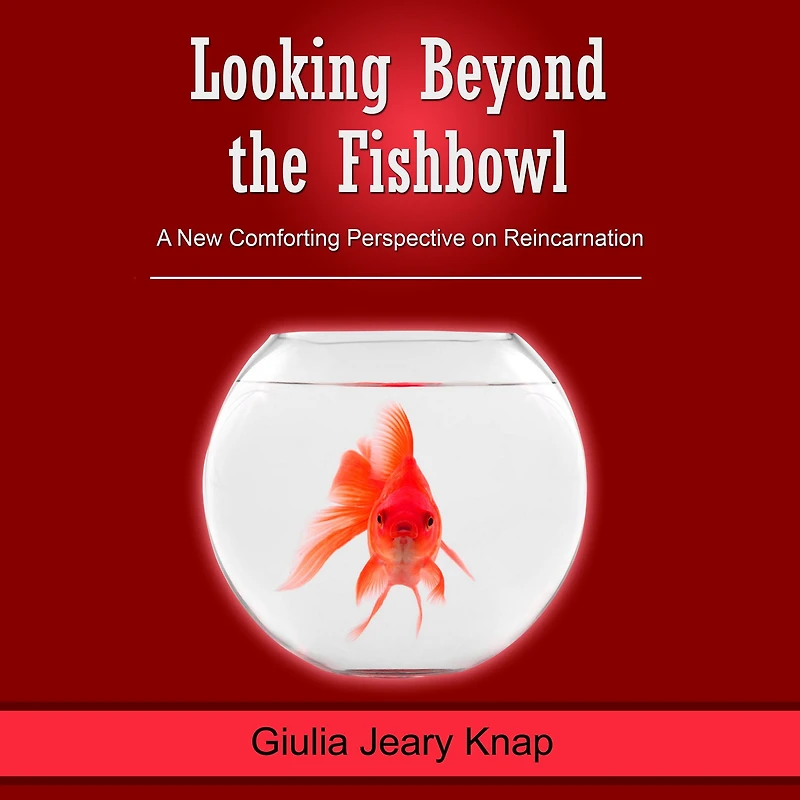 Looking Beyond the Fishbowl: A New Comforting Perspective on Reincarnation