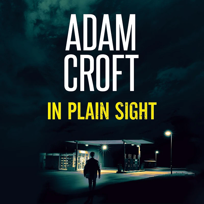 Plain Sight